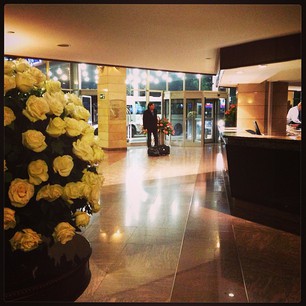 Lovely #ecuadorean #roses in the #lobby of the #hilton colon #hotel in #quito #ecuador -- #flowers #luxury #travel #instatravel #southamerica #luxurytravel