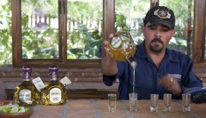 A bartender shows how to drink Tequila at Vinata Los Osuna, an agave plantation near Mazatlan, Mexico.