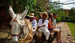 Starwood Hotels' Hacienda Temozon is hosting a special dinner to mark the end of the Mayan calendar.