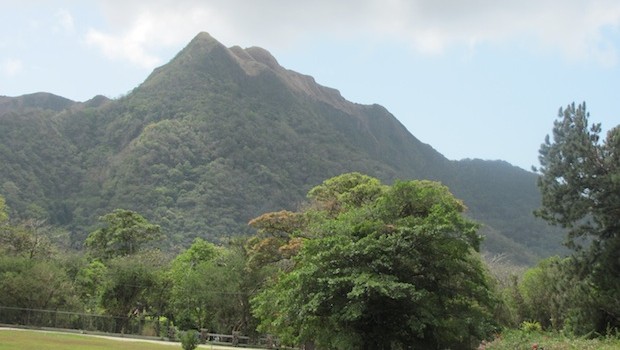 Lush scenery at El Valle de Antón, Panama. Photo: Hal Peat