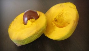 Native to Peru, lucuma is a fruit that's has been used in Peruvian food for centuries. Photo: Paul Jones