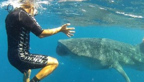 Gabriel López Silva comes face to face with whale sharks near Cancun, Mexico.