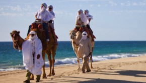 Yes, it's a Mexico beach! The Outback & Camel Safari from Cabo Adventures, in Los Cabos.