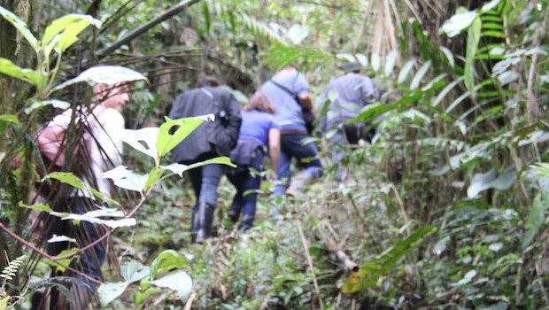 Hiking and nature walks are popular at Bellavista in Ecuador.