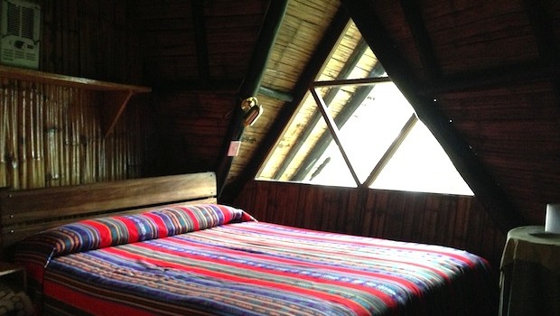 My room at Bellavista lodge in Ecuador had nature views.