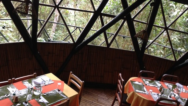 The dining room looks onto the cloud forest at Bellavista lodge in Ecuador.