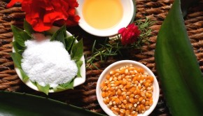 The CasaMagna Marriott hotel in Puerto Vallarta uses natural spa treatments.