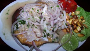 "Ceviche de trucha (Peru)" PHOTO:  Dtarazona
