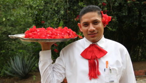 Warm greetings at Vallarta Botanical Gardens in Mexico.