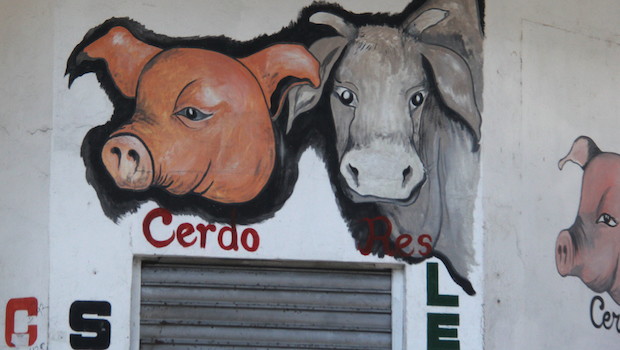 Wall mural ads in Colon, Panama.