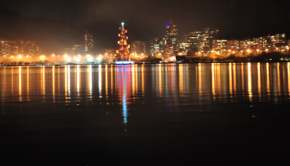 The world’s largest floating Christmas tree, in Rio de Janeiro.