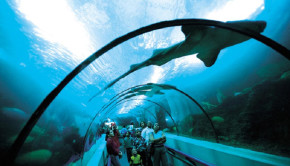 Acuario Nacional in Santo Domingo, Dominican Republic.