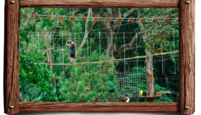 Jaco Ropes is a ropes course that Jason opened  in Costa Rica.