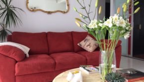 Living room at Airbnb rental in Mexico City.