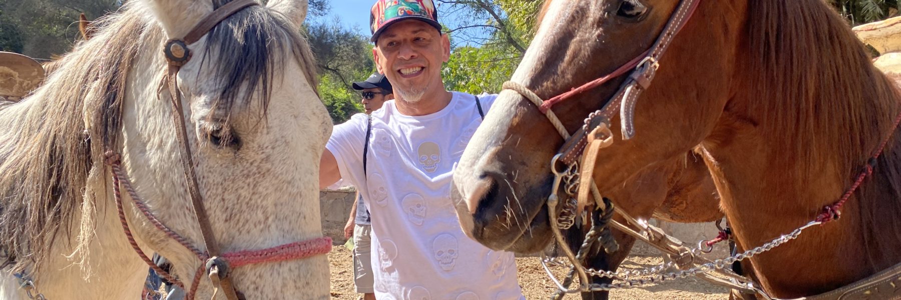Horses for horseback riding in Guadalajara.